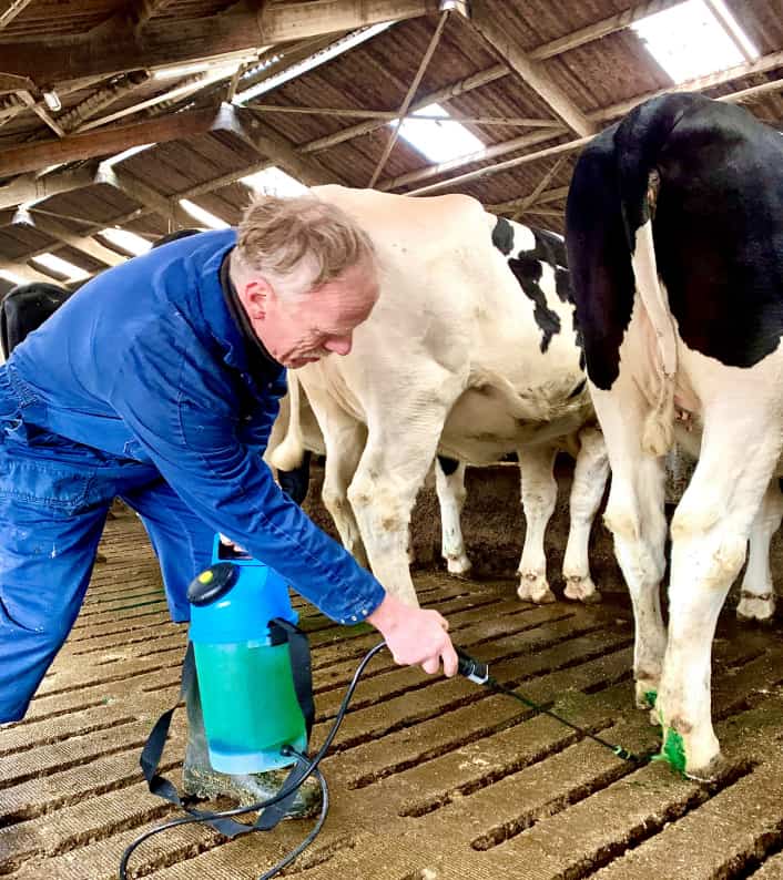 intra hoof-fit spray aanbrengen